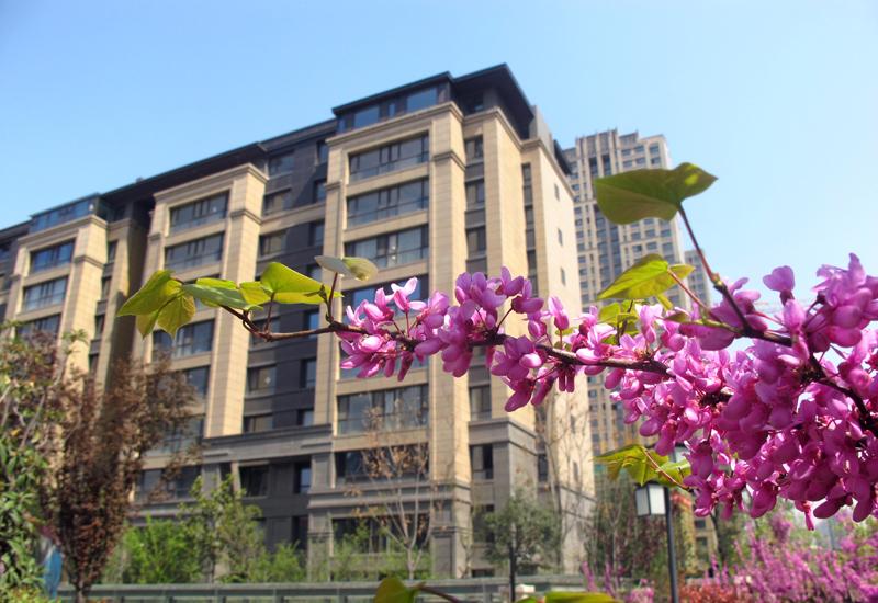 97国际·(中国区)集团官方网站